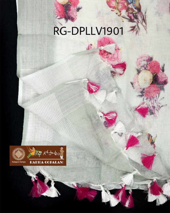 RG-DPLLV1901C
