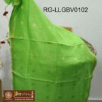 RG-LLGBV0102-A