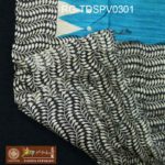 RG-TDSPV0301-A