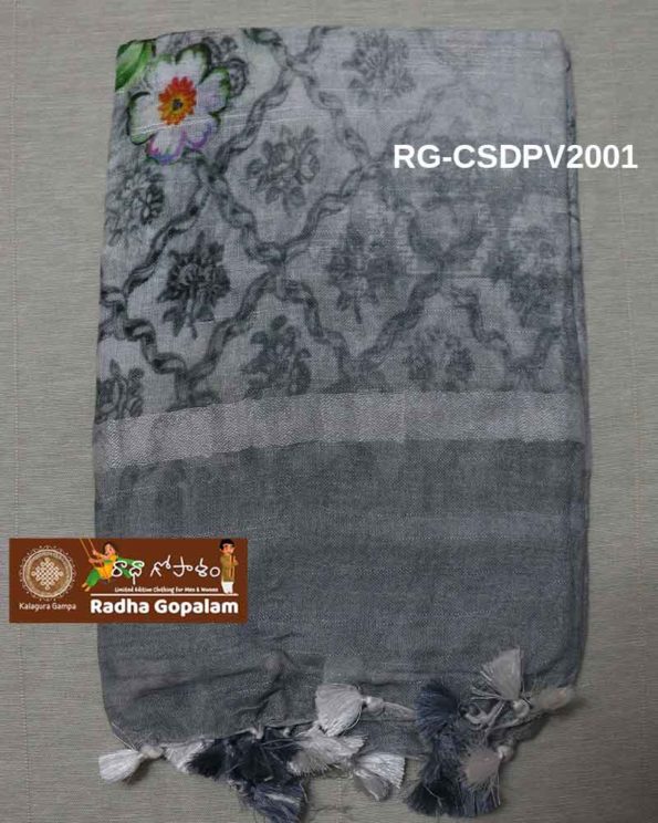 RG-CSDPV2001-B