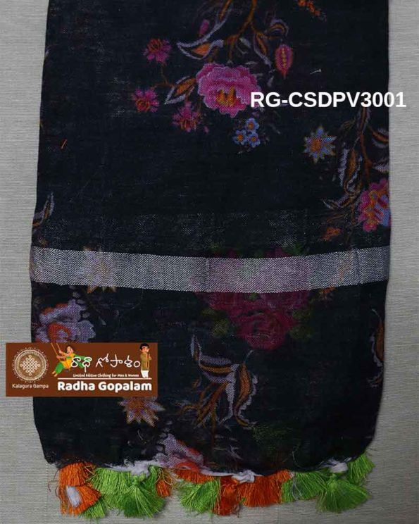RG-CSDPV3001-B