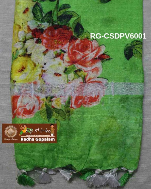 RG-CSDPV6001-C